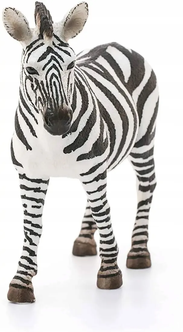 wild-life-14810s-zebra-samica
