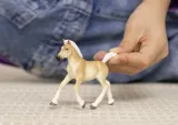 zrebak-rasy-haflinger-material-plastik