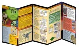 zestaw-archeologiczny-t-rex-kosmos-stan-opakowania-oryginalne