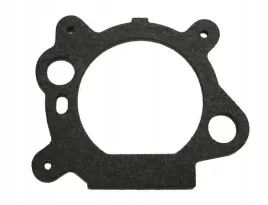 uszczelka-filtra-powietrza-briggsandstratton-quantum