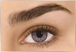 freshlook-colorblends-gray-2-szt