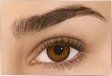 freshlook-colorblends-brown-2-szt
