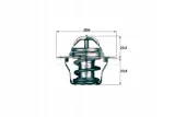termostat-daewoo-15-93-mahle-tx192d-mahle-stan-nowy-jakosc-czesci-zgodnie-z-gvo-q-oryginal-z-logo-producenta-czesci-oem-oes