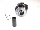 tlok-renault-15dci-7600-std-mahle-022-01-00-numer-katalogowy-oryginalu-renault-12-0a-102-82r-renault-120a10538r-renault-7701475075-renault-7701475077-renault-7701-475-703