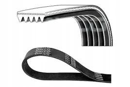 dayco-5pk1345-pasek-klinowy-wielorowkowy