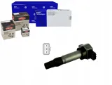 cewka-zaplonowa-delphi-gn10605-12b1-stan-nowy