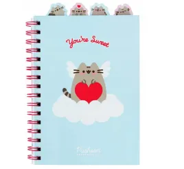 pusheen-notes-z-ozdobnymi-znacznikami