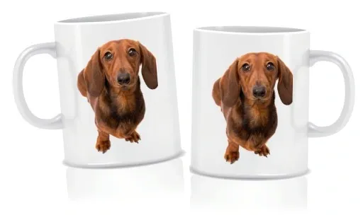 zestaw-poduszka-kubek-jamnik