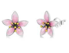 kolczyki-srebrne-wkretki-kolczyki-srebro-925-kolczyki-sztyfty-kwiatki