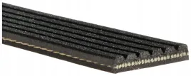 pasek-w-klinowy-6x842-gates-6pk842sf-pasek-klinowy-wielorowkowy