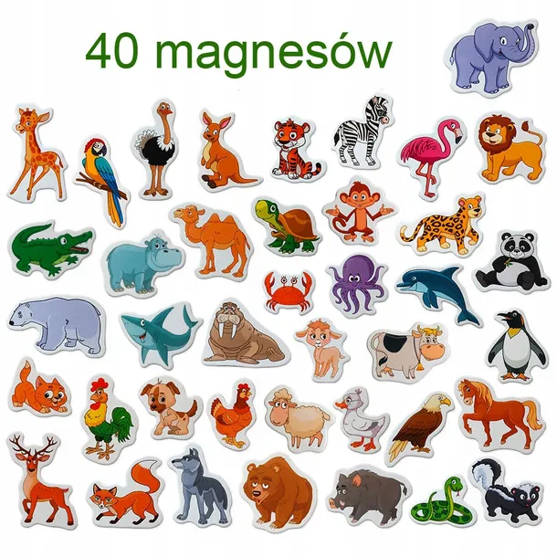 magnesy-zwierzeta-plec-chlopcy-dziewczynki