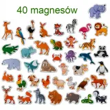 magnesy-zwierzeta-plec-chlopcy-dziewczynki