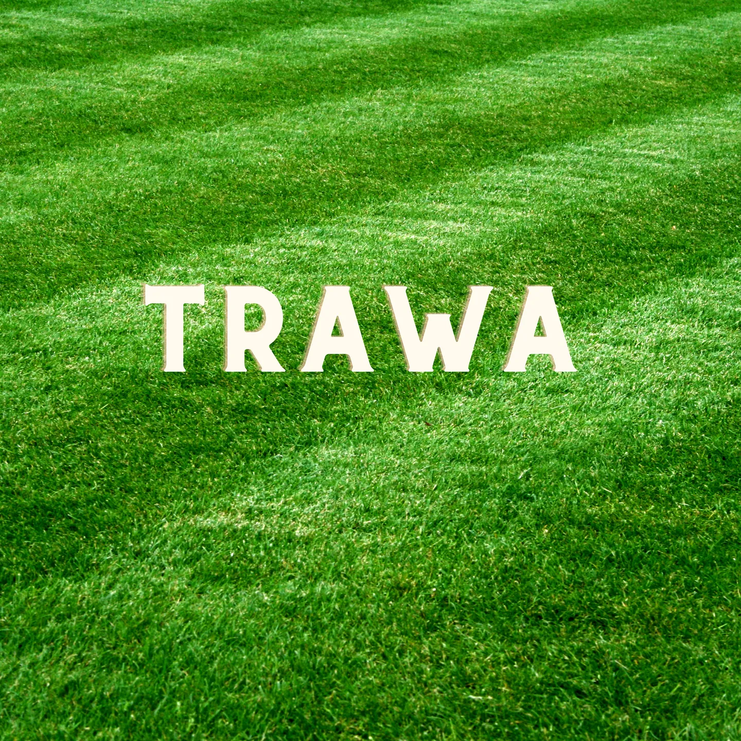 undefined_undefined