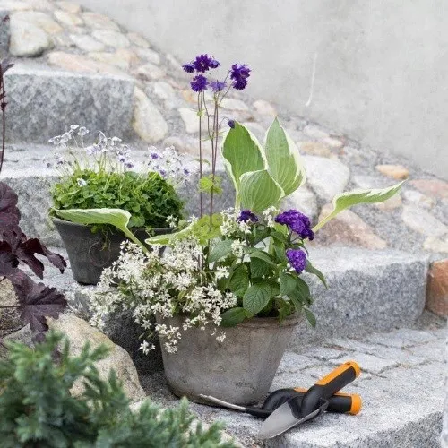 fiskars-widelki-1000729-n85