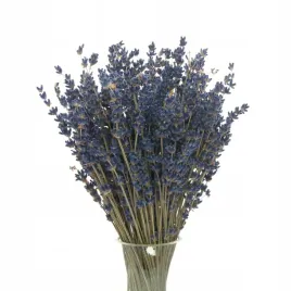 suszona-lawenda-ciemna-niebieska-bukiet-150-szt