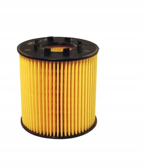 filtron-oe-666-1-filtr-oleju-typ-samochodu-autobusy-samochody-dostawcze-samochody-osobowe