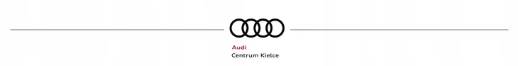 sruba-audi-a4-10-vag-n91211201-typ-silnika-benzyna