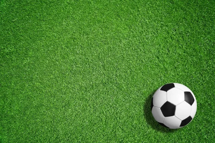 trawa-sportowa-boiskowa-samozageszczajaca-odporna-na-deptanie-gf-sport-10kg-marka-gf-grass