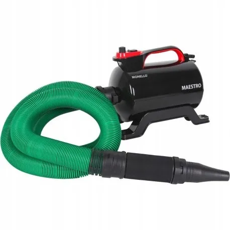 monello-maestro-dmuchawa