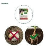 duzy-p-drakol-50g-target-zwalcza-pedraki-nicienie-producent-target
