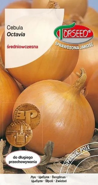 cebula-octavia-cykl-rozwojowy-rosliny-jednoroczna