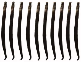 wanilia-laski-10-szt-10-14-cm-laska-wanilii-jakosc-1-swieze-wilgotne-laski