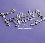 napis-mlodej-parze-z-ornamentami