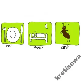 meska-koszulka-mrowka-mrowkojad-wzory-m3b