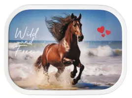 mepal-lunchbox-campus-wild-horse-107440065401-750-ml