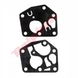 membrana-do-briggsandstratton-795083