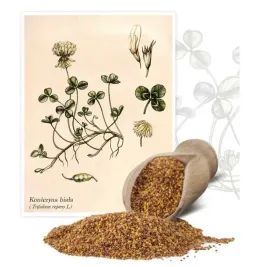 koniczyna-biala-romena-05-kg