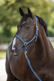 kantar-dla-konia-hippo-roz-cob-granatowy-niebieski-covalliero