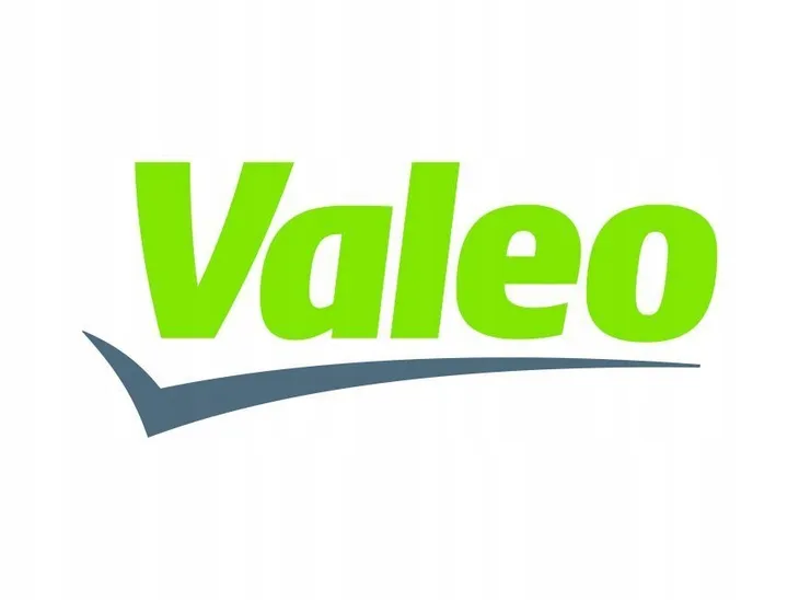 dmuchawa-renault-megane-scenic-99-valeo-884634-producent-czesci-valeo