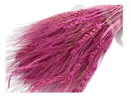 wiazka-pszenica-perska-suszona-ozdoba-dekoracja-wrzosowa