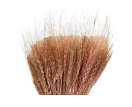 wiazka-pszenica-perska-suszona-ozdoba-dekoracja-jasnorozowa