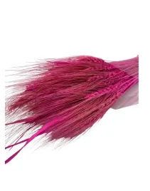 wiazka-pszenica-perska-suszona-ozdoba-dekoracja-rozowa