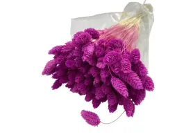 wiazka-mozga-kanaryjska-suszona-bukiet-wrzos