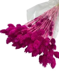 wiazka-mozga-kanaryjska-suszona-bukiet-roz