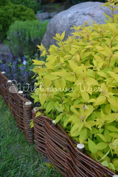 palisada-wiklinowa-20-120