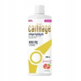 noble-pharma-cartilage-koncentrat-1000ml