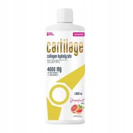 noble-pharma-cartilage-koncentrat-1000ml