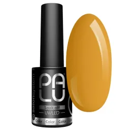 palu-lakier-hybrydowy-amsterdam-am2-11g