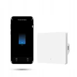 przelacznik-scienny-zigbee-tuya-1-kanalowy-bialy-rodzaj-przelacznik