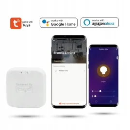 bramka-tuya-2-4ghz-do-systemow-magnetycznych-smart-track