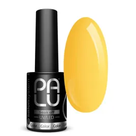 palu-lakier-hybrydowy-kawasaki-ka2-zolty-11-g