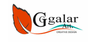 Logo sklepu GalarArt