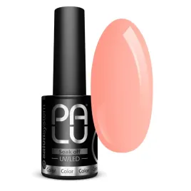 palu-lakier-hybrydowy-pomaranczowy-palermo-pa2-11g