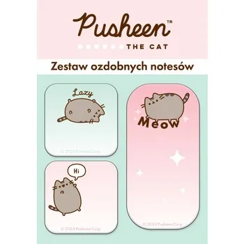 zestaw-notesow-ozdobnych-pusheen-stan-nowy
