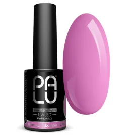 palu-lakier-hybrydowy-warsaw-p14-11-g