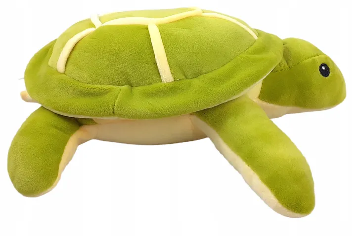 zolw-28cm-mix-wiek-dziecka-6-lat